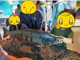 サブ画像2