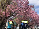 サブ画像2