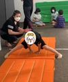 サブ画像1